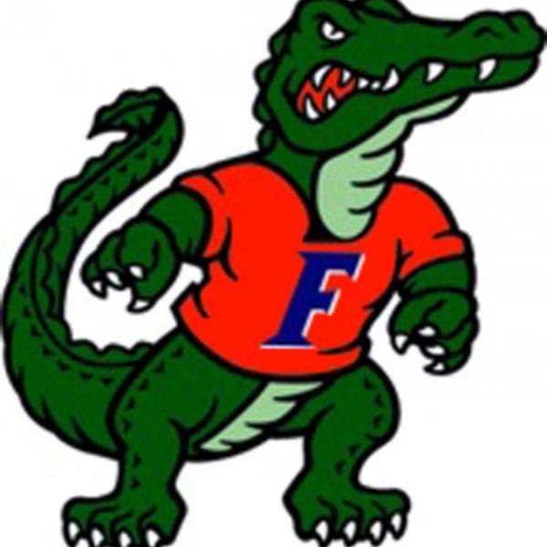 ( CRAFTS ) ( F ) Florida Gator Cross Stitch PatternF***LOOK***Buyers Can Download Your Pattern As Soon As They Complete The Purchase