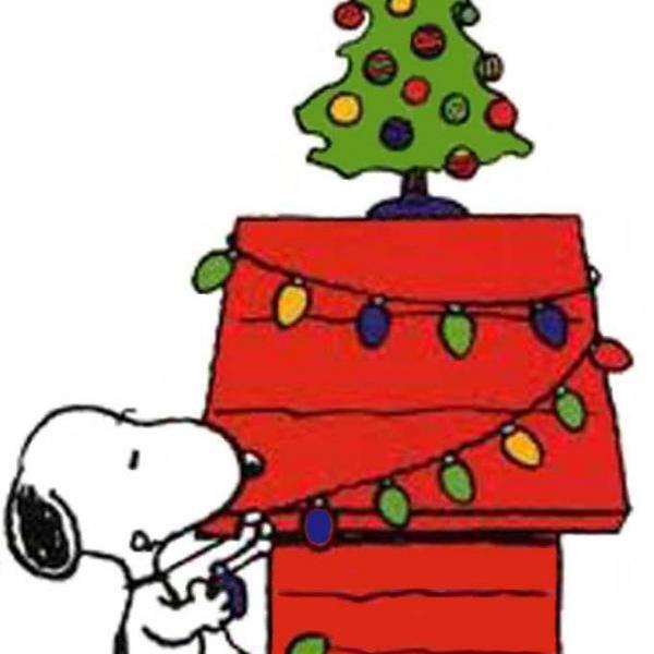 DMC DIY Snoopy Christmas Cross Stitch Pattern***LOOK***Buyers Can Download Your Pattern As Soon As They Complete The Purchase
