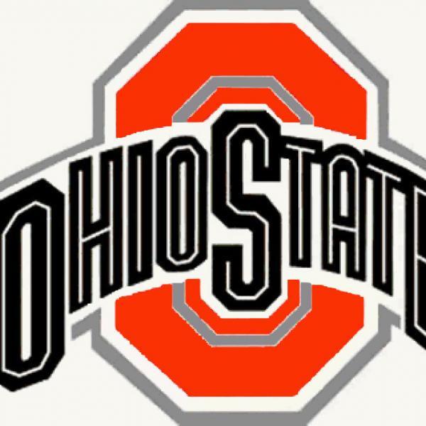 DMC DIY Ohio State Buckeyes Cross Stitch Pattern***LOOK***Buyers Can Download Your Pattern As Soon As They Complete The Purchase