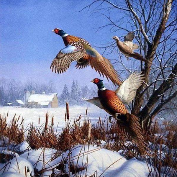 Pheasents In Flight Cross Stitch Pattern***L@@K***Buyers Can Download Your Pattern As Soon As They Complete The Purchase