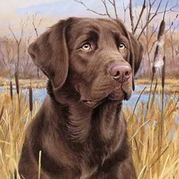 Chocolate Lab Cross Stitch Pattern***LOOK***Buyers Can Download Your Pattern As Soon As They Complete The Purchase